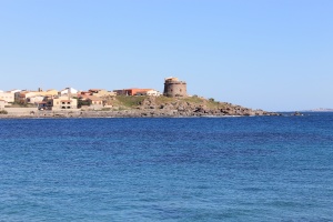 portopaglietto torre