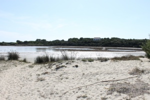 stagno le saline