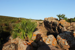 tomba dei giganti sant'antioco